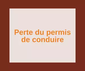 permis de conduire